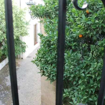 La Casita De La Ciudad Villa Ronda Exterior photo